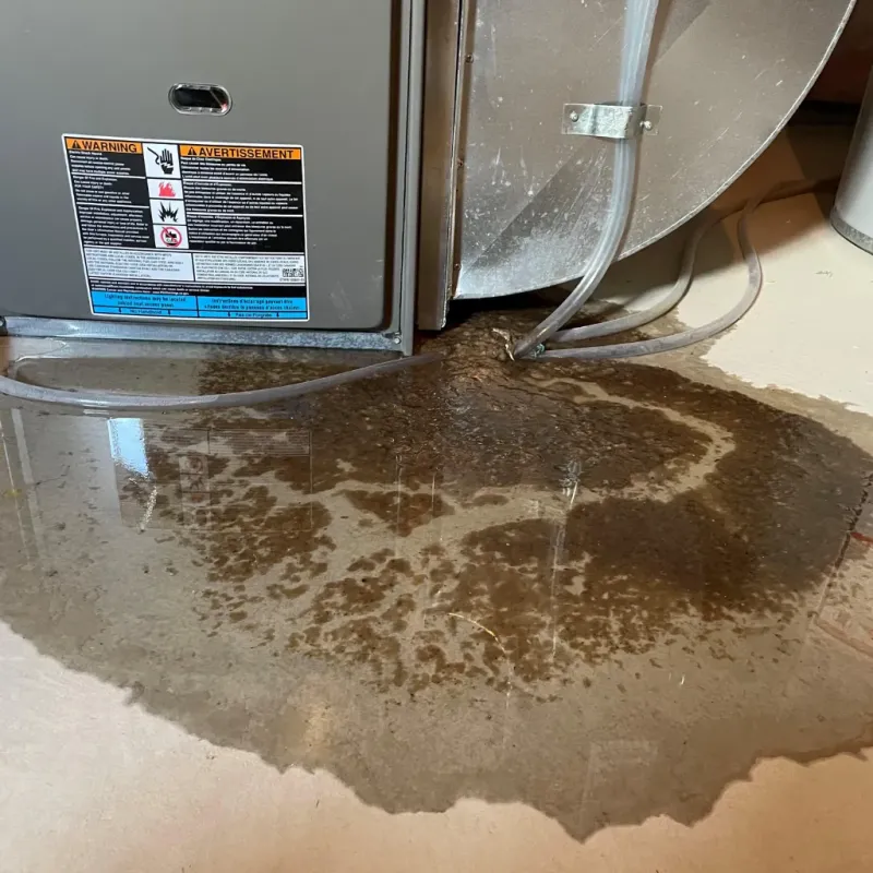 Appliance Leak Cleanup in Aliceville, AL